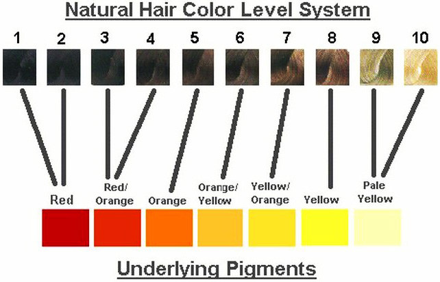 Prepigmentacija kose prije bojanja. Kako to učiniti